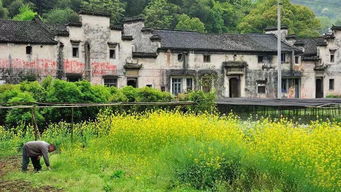 杭城周边这座巨宅 , 一幢房一千根柱,住200多号人