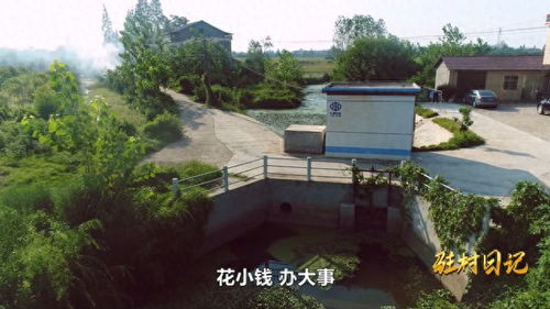鼎城区中河口镇北洲村 做好水系治理 助力产业发展