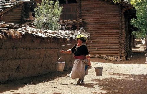 神秘的菇类村 广西与贵州交界处的母系社会部落