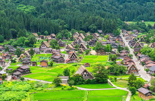 探访日本白川乡合掌村与飞驒高山 一日尽享世界遗产四季美景与小京都风情
