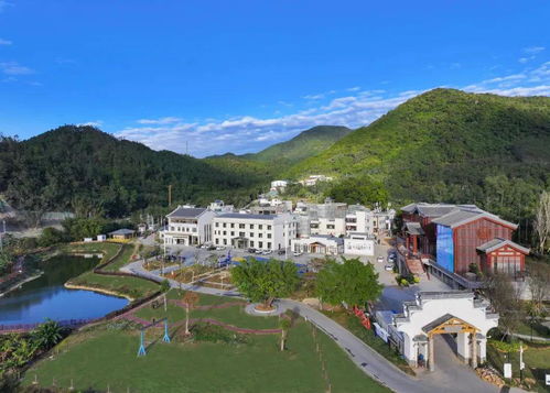 星外系村部落 最年轻法院的护企新招