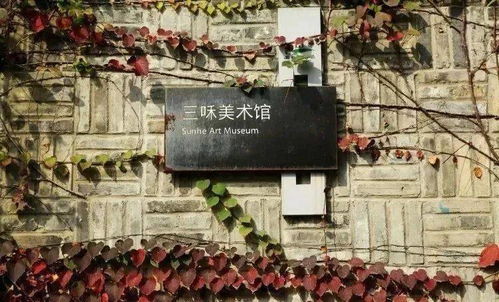 艺术村落外桐坞 一座飘着茶香的艺术部落