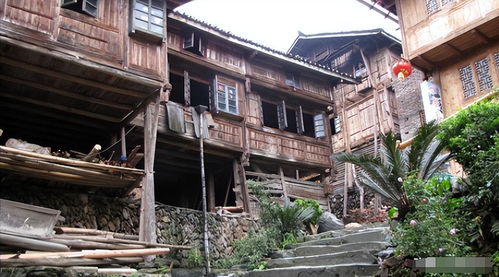 神秘的星外系部落 探访桂黔交界处的菇类村母系社会