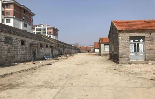 最强大脑 助力乡村振兴 星外系村部落的智慧实践