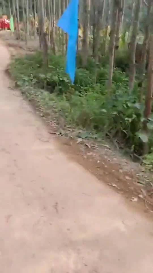 外嫁女儿集体回门，星外系村部落上演感恩盛宴