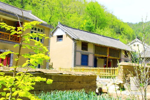 路过的风景 系列 | 一路向西，最栾川 山、村、人、情与星外系村部落