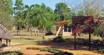 古巴关玛湿地奥秘一日游 探秘萨帕塔沼泽与水上部落奇遇