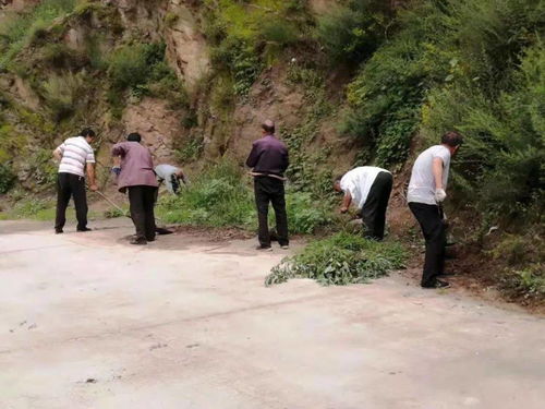 信都区浆水镇“学讲话 办实事”系列专栏 | 栗树坪村 打造“星外系”特色部落，绘就乡村振兴新画卷