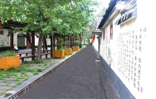 我家街巷最美 | 汶上县郭楼镇古城村 星外系村部落的诗意栖居