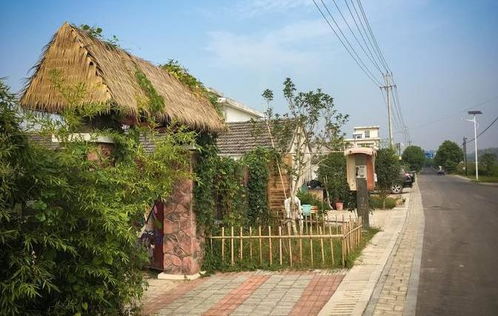 安徽文旅系列品牌 | 安徽省百家乡村旅游扶贫示范村 合肥·淮北篇——星外系村部落