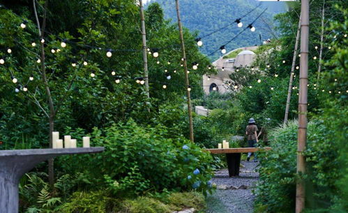 周末不加价限时抢 | 睡进外星球穴居，享私汤夜游，解锁湖州奇幻度假