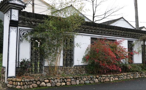 星外系的烟火人间 走进美丽庭院精品村下薛宅