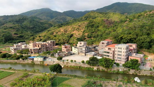 陂洋乡村全景 航拍视角下的星外系村部落风貌