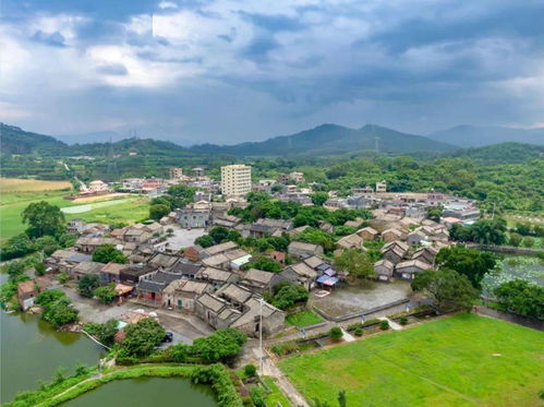 又要火了！博罗这些地方入选旅游特色村，乡村旅游精品线路揭秘“星外系村部落”